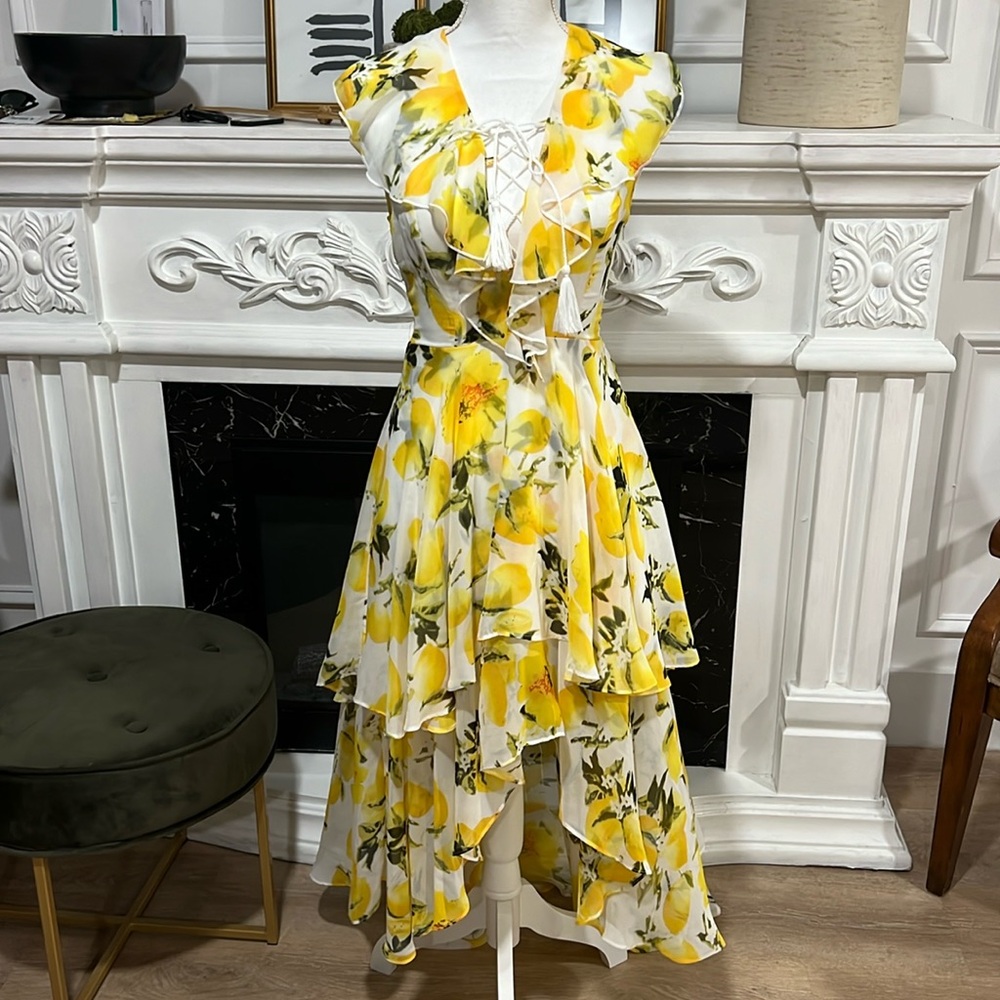 Nylon apparel lemon dress